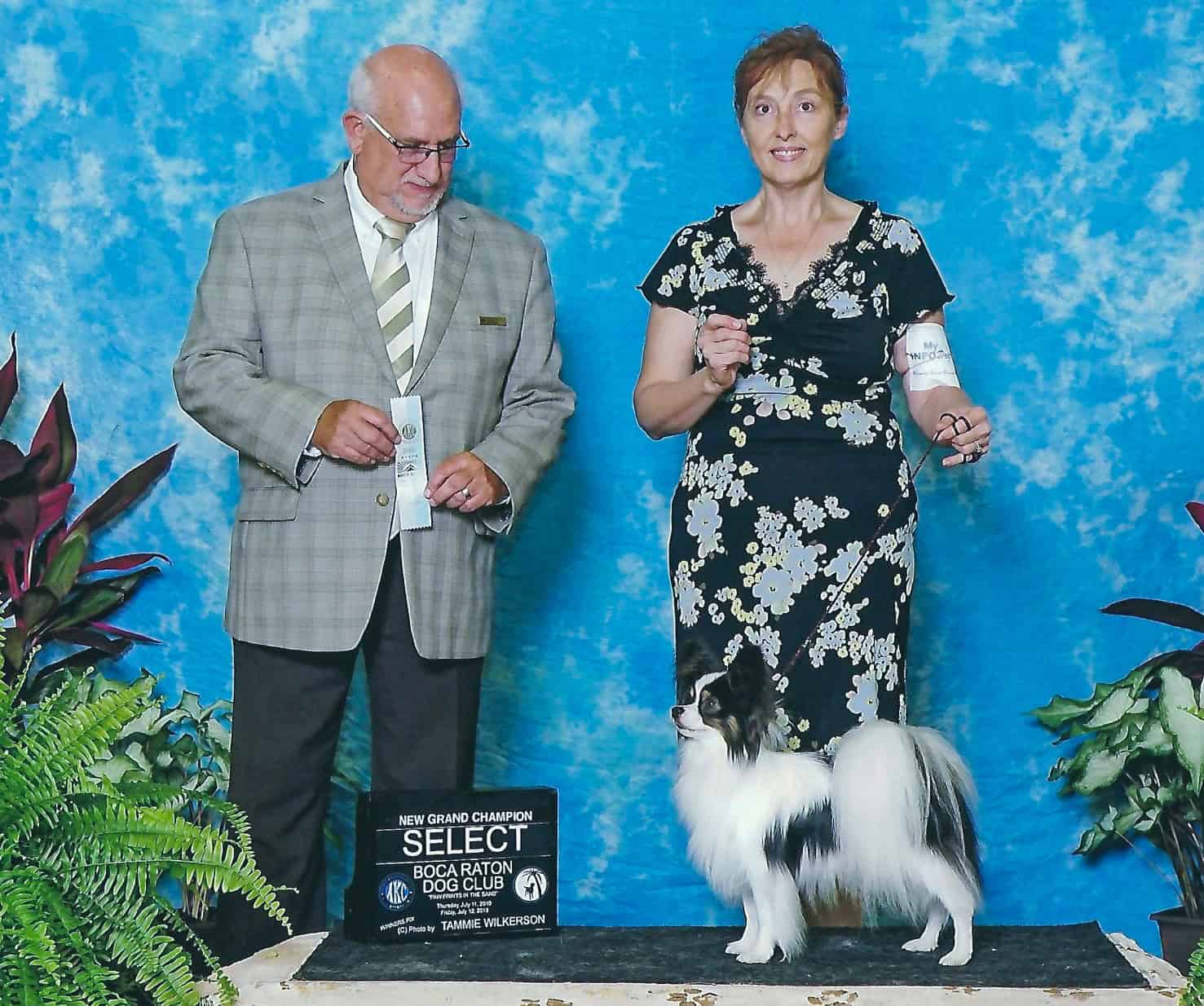 Mr Tango from Southern Peach Papillons