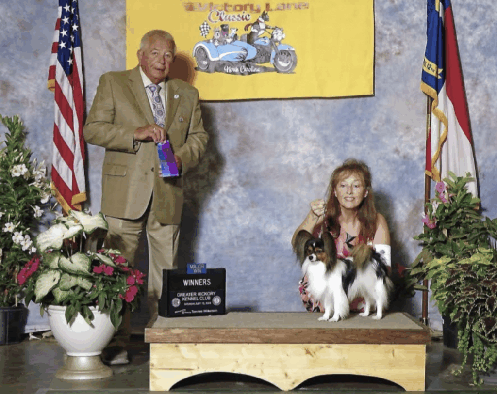 Synergy from Southern Peach Papillons